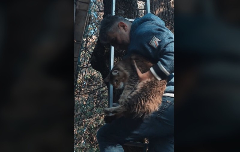 Marcel Ciolacu s-a cățărat într-un copac ca să își recupereze pisica blocată la înălțime | VIDEO