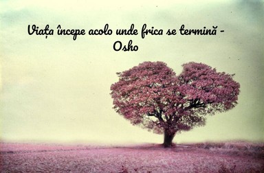 Citate motivaționale - Osho