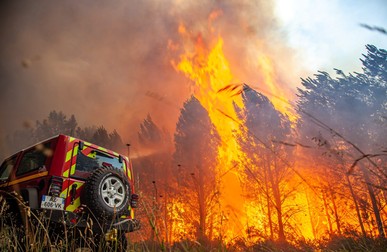 Zona Gironde din Franța este afectată de două incendii cu peste 10.000 de hectare deja arse. Foto: EPA