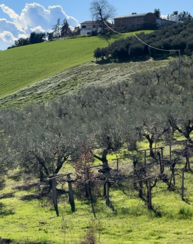 Gabriela Cristea a publicat imagini cu priveliștea de pe terasa casei din Abruzzo, Italia. „Ireal de frumos”