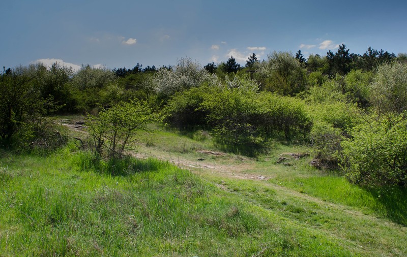 Unde pot ieși constănțenii la picnic de 1 Mai. Posibilitățile sunt reduse/ FOTO