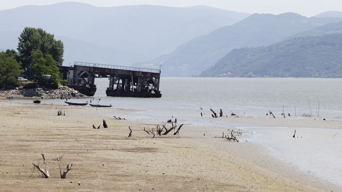 Arhiva foto