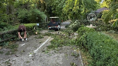 copaci doborati-furtuna 17 iulie 2025- gradina zoo bucuresti