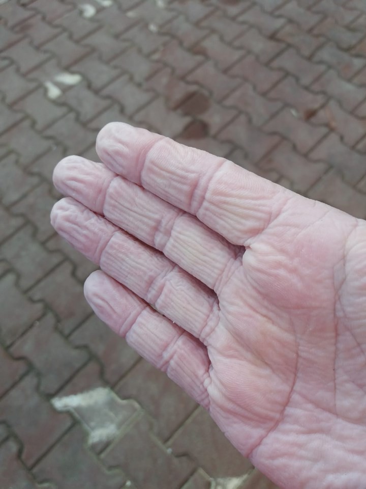 Arhiva foto