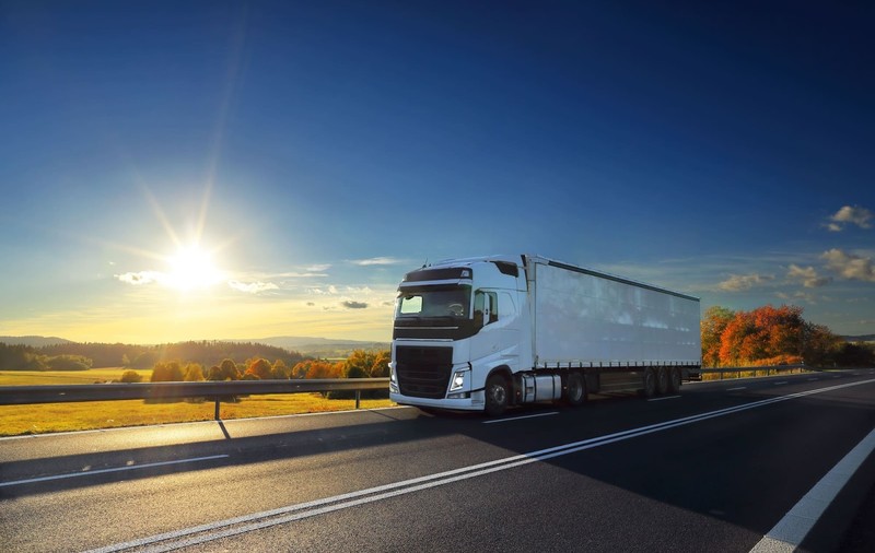 De ce să alegi Crystal Logistics pentru importarea și expedierea mărfurilor: 3 avantaje