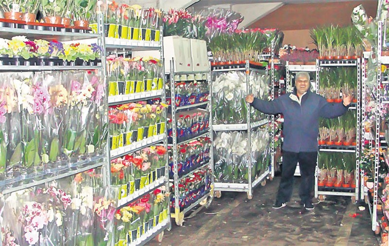 «Umplem Bucureştiul cu flori din Olanda»