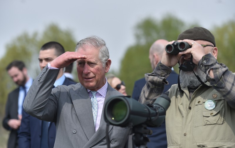 Prințul Charles a vizitat Delta Văcărești, unde a plantat un plop alb și a primit un buchet de păpădii de la o fetiță