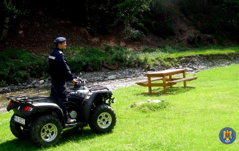 Jandarmi și silvicultori, atacați în timpul unui control într-o pădure din județul Argeș. S-au tras focuri de avertisment