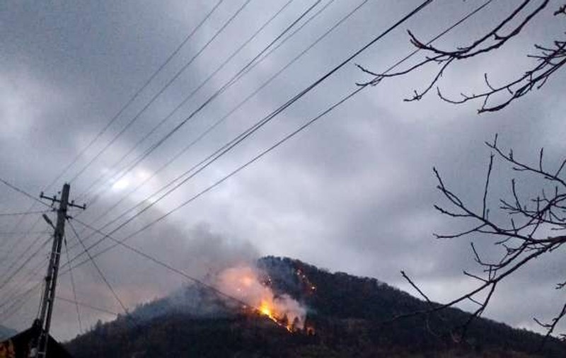 Pădurea de la Oituz arde de cinci zile. Incendiul s-a extins pe 28 de hectare