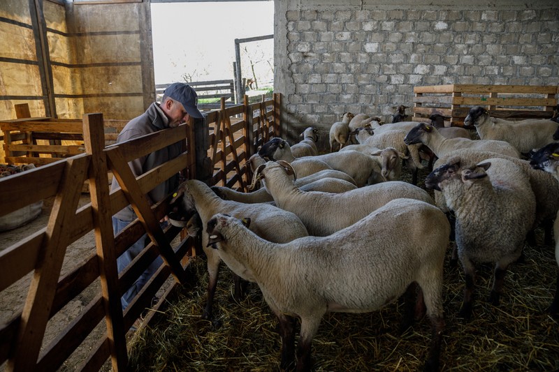 Mircea Samson are grijă de animalele din gospodărie