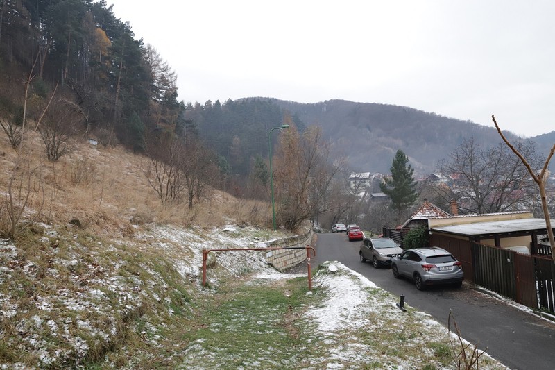 Cortul fetei, în stânga, și casele de pe strada Curcanilor