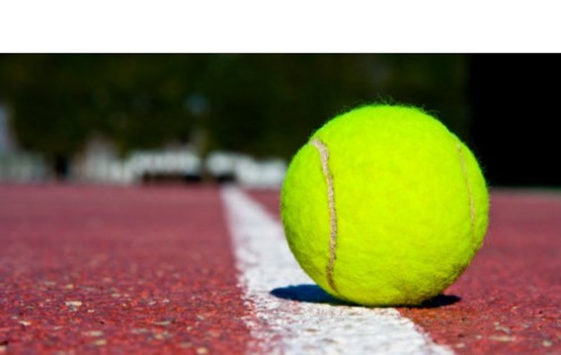 Continuă haosul de la FR Tenis. Adunarea Generală Extraordinară, reprogramată din lipsă de cvorum. Plângere penală contra lui Cosac