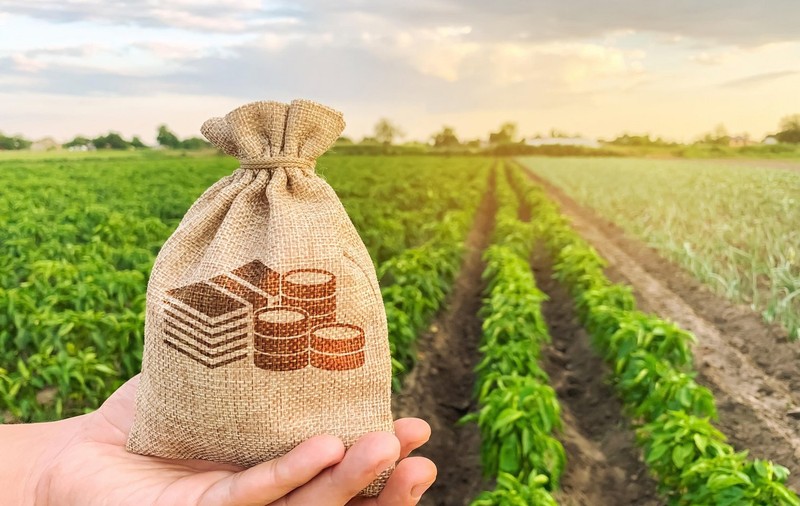 Bogații Europei încasează miliarde din subvențiile agricole acordate de UE, în timp ce micile ferme se închid