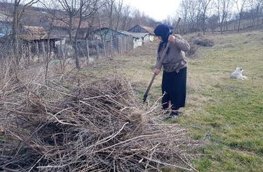 Elizabeta din Gănești