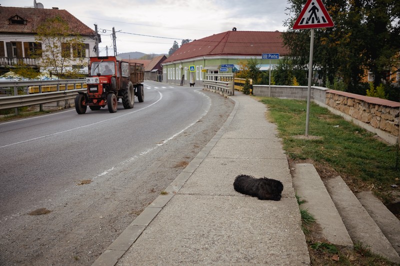 Arhiva foto