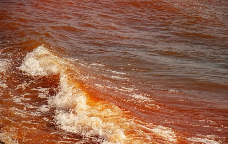 Marea Neagră s-a colorat în roşu în zona portului Tomis. Explicațiile cercetătorilor