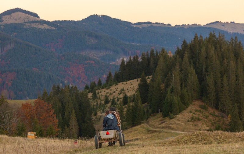 Locul din munți prin care fug în România ucrainenii care vor să scape de încorporare: „Nu știu unde se duc, cred că ajung într-o zi”
