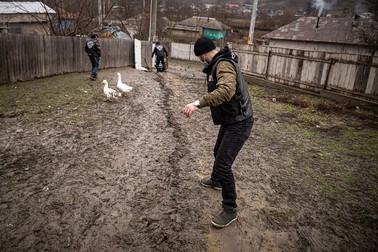Curtea în pantă e o pacoste toamna şi iarna