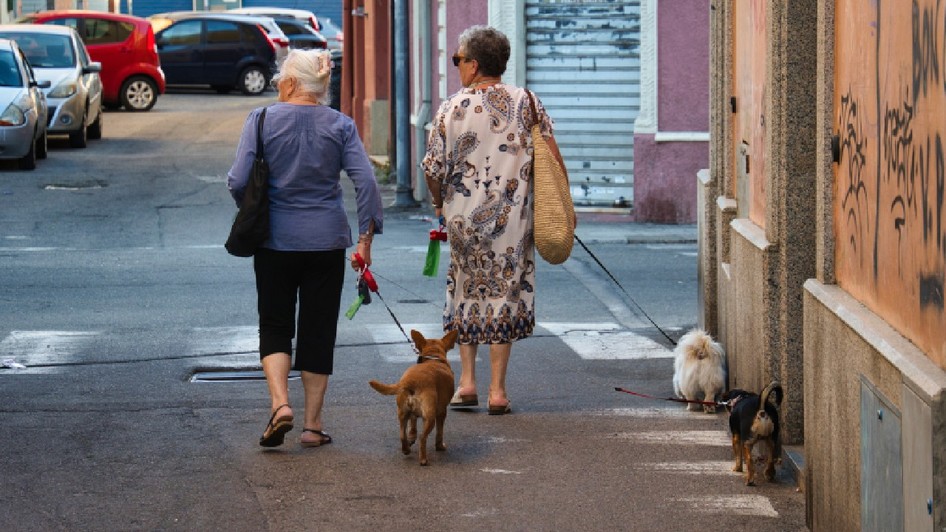 Fotografia a două femei care își plimbă câinii în Cagliari. Cagliari, Sardinia, Italia, 6 iunie 2025.