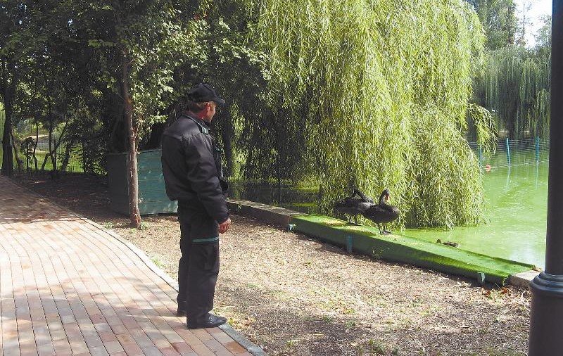 Lebedele, pazite de bodyguarzi