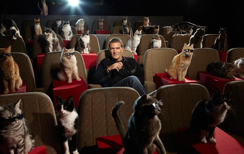 Foto | Antonio Banderas,  la film cu cele mai faimoase pisicuţe de la Hollywood