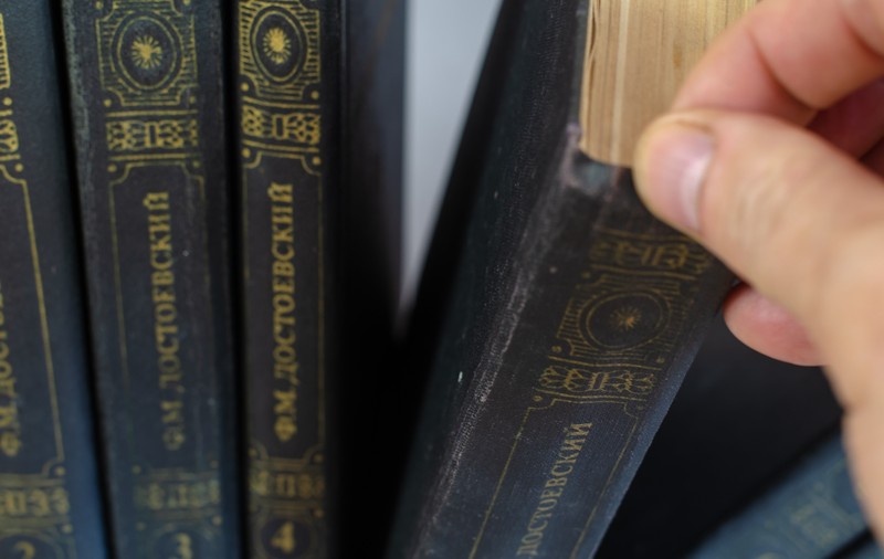 Vrei să te îmbogățești? Citește această carte clasică a literaturii mondiale! Este o mină de aur