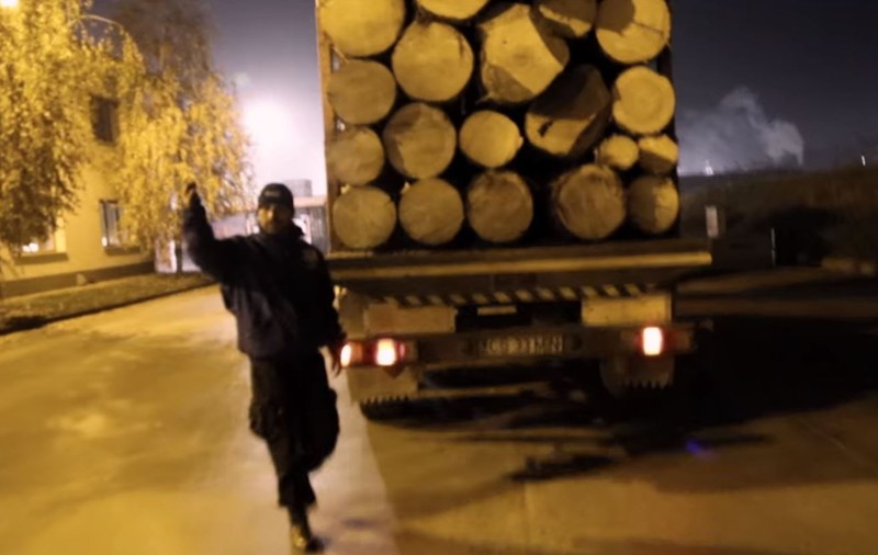 Percheziții de amploare în mai multe județe din țară la tăietorii ilegali de lemne. Zeci de persoane au furat lemn din fondul forestier național