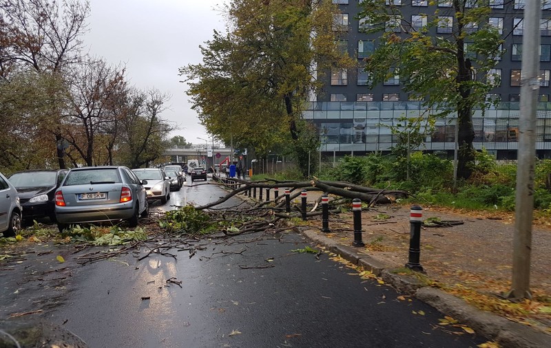 FOTO | Bilanțul furtunii din Capitală și din țară. Copaci căzuți, mașini distruse