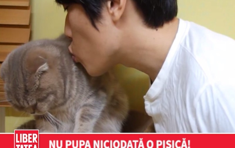 VIRAL! De ce să nu pupi o pisică | VIDEO