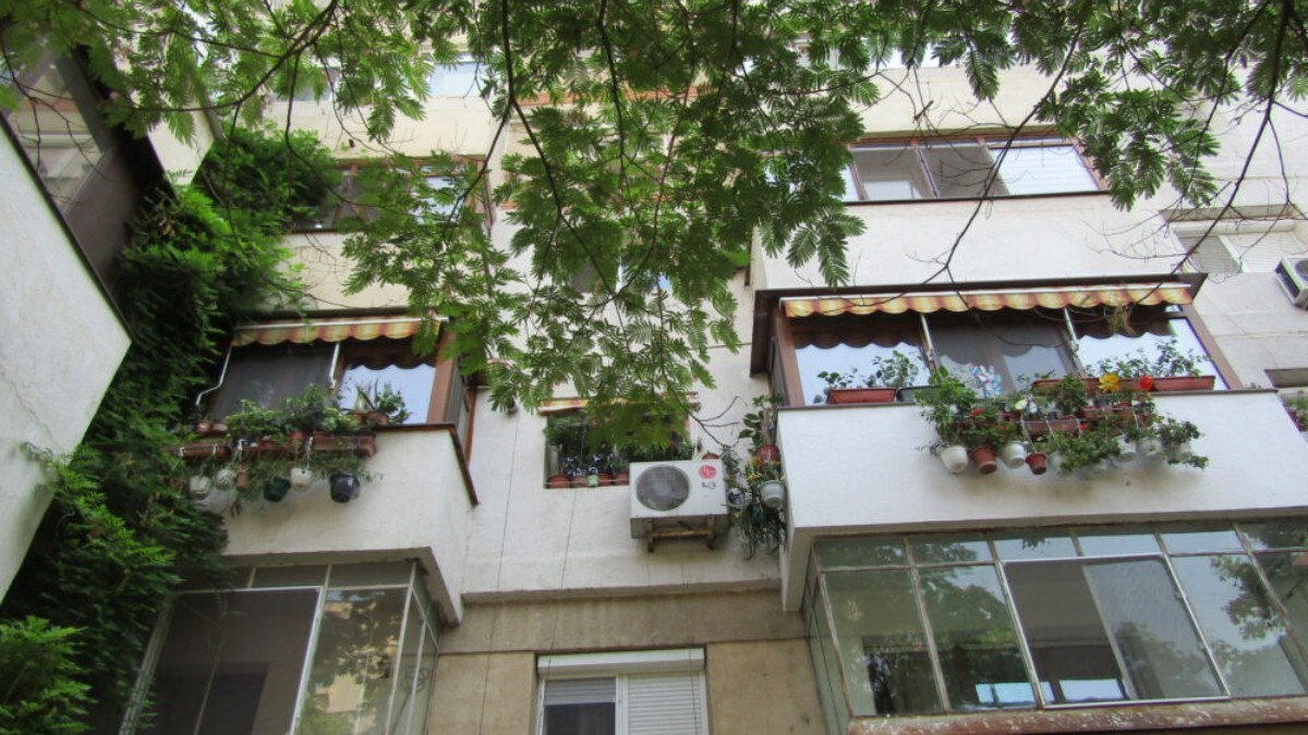 Balcoanele cu flori la blocul din Brăila