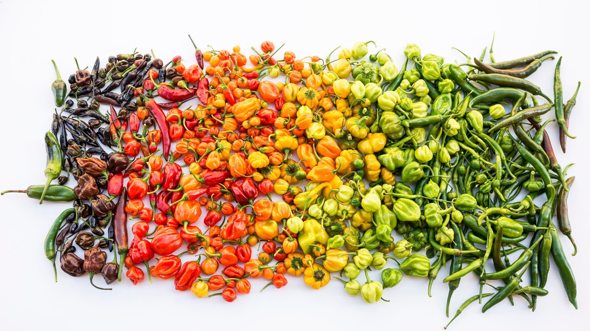 Cei mai iuți ardei. Câte unități pe scara Scoville are cel mai iute ardei