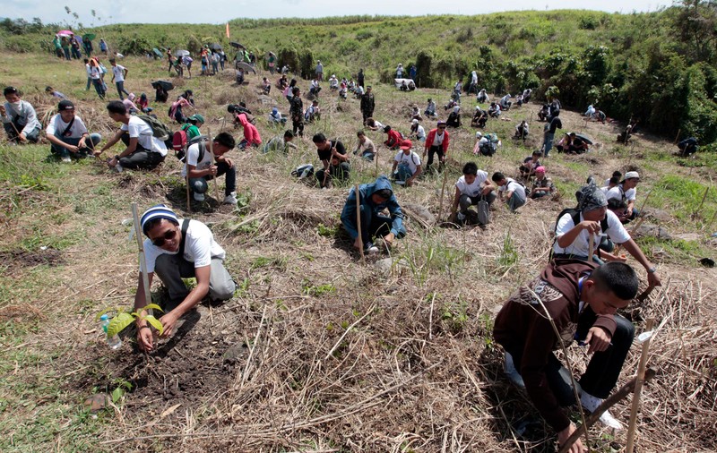 O nouă lege în Filipine le impune studenților plantarea a câte 10 copaci drept condiţie de absolvire