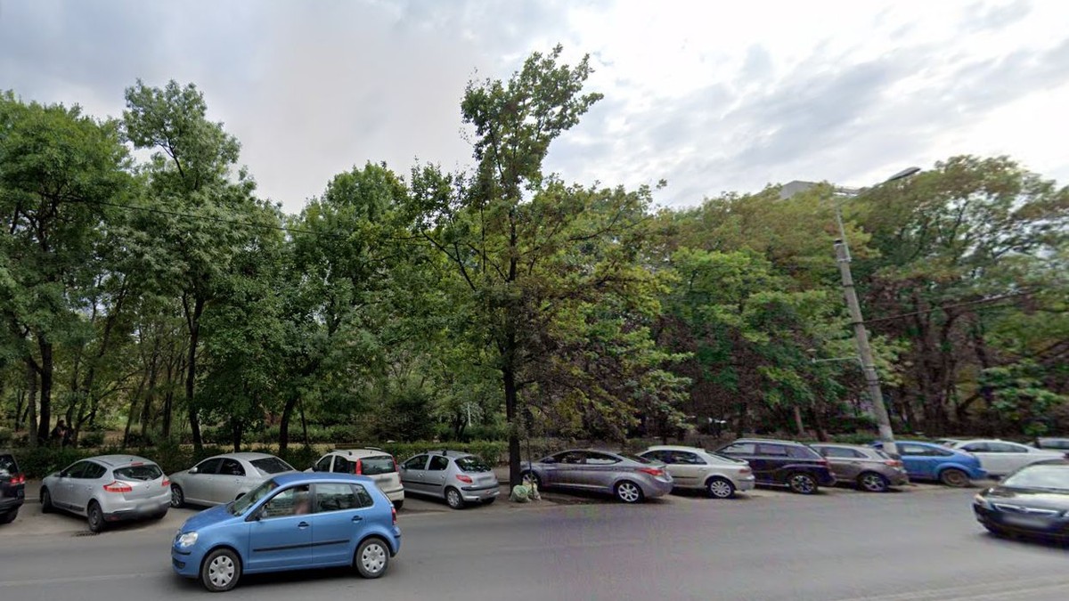Vedere din stradă înspre Parcul Brâncuși, cel intrat în zonă construibilă FOTO Google Maps