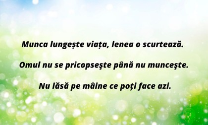 Proverbe despre muncă