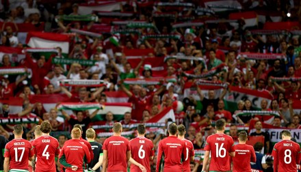 epa05393389 Players and supporters of Hungary react after the UEFA EURO 2016 round of 16 match between Hungary and Belgium at Stade Municipal in Toulouse, France, 26 June 2016. (RESTRICTIONS APPLY: For editorial news reporting purposes only. Not used for commercial or marketing purposes without prior written approval of UEFA. Images must appear as still images and must not emulate match action video footage. Photographs published in online publications (whether via the Internet or otherwise) shall have an interval of at least 20 seconds between the posting.) EPA/VASSIL DONEV EDITORIAL USE ONLY