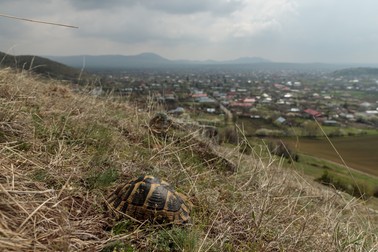 Panoramă a satului Greci de pe dealul de lângă mină