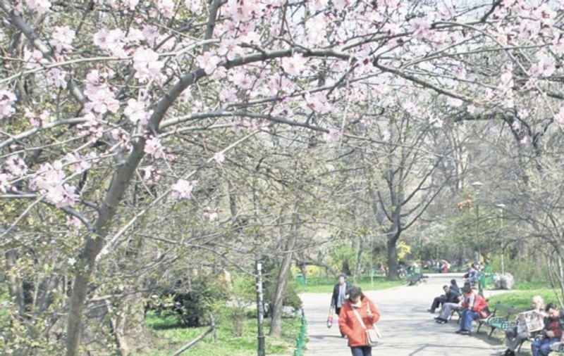 Cişmigiul va fi transformat în parc de distracţii de Ziua Copilului