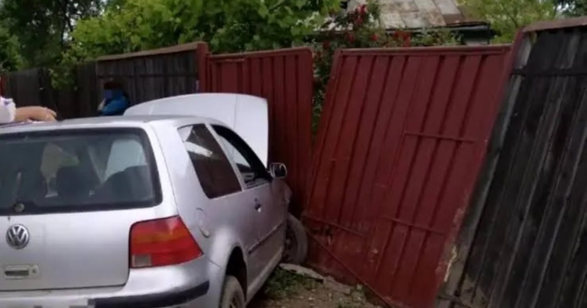 Un golg gri intrat intr-o poarta rosie, la Cluj