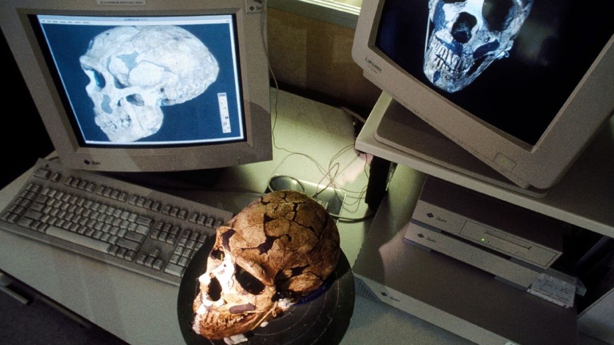 Reconstrucția pe computer a unui craniu de Neanderthal (Homo neanderthalensis) Reconstrucție de Elisabeth Daynes a Studioului Daynes, Paris, Franța Foto: Profimedia Images