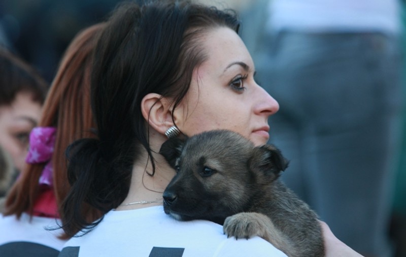  Adoptă un căţeluş în Parcul Bazilescu
