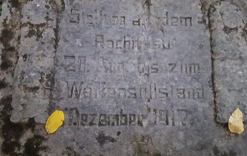 Ce au găsit doi căutători de vestigii istorice într-o pădure din Vrancea. Au anunțat imediat Poliția