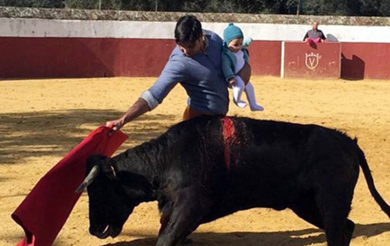 Anchetă în Spania după ce un toreador şi-a expus copilul într-o luptă cu un taur