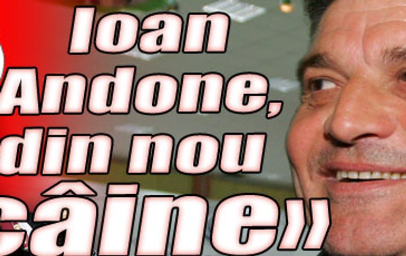 Ioan Andone, din nou «câine»