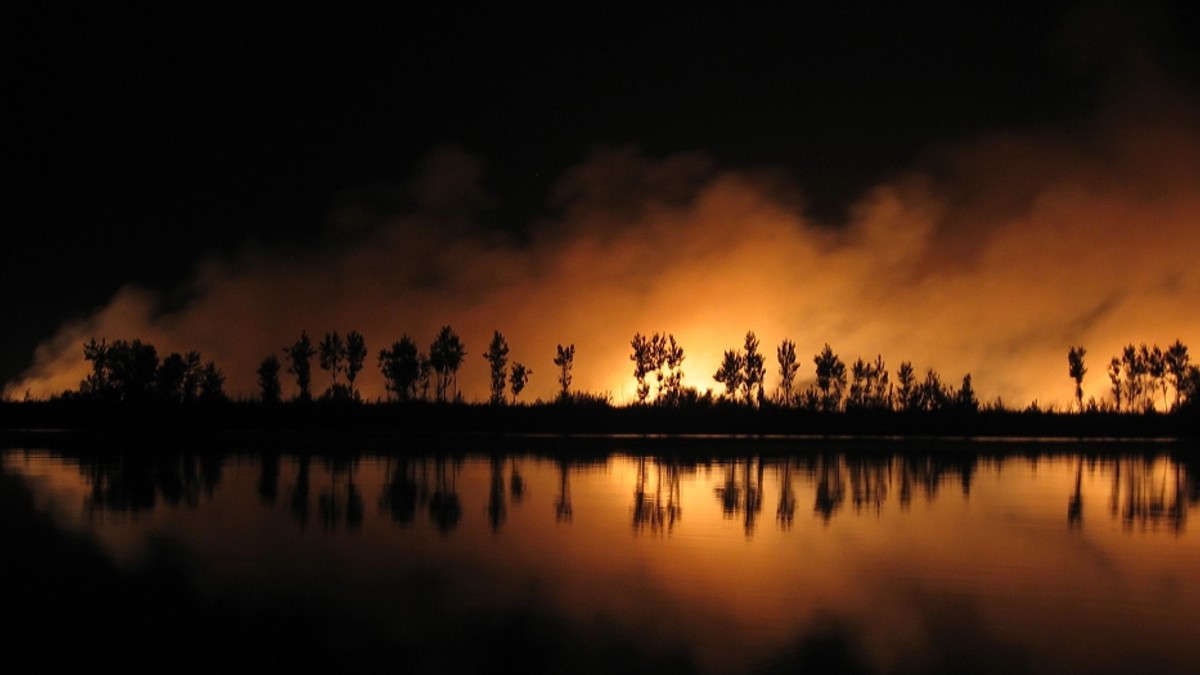 Arhiva foto