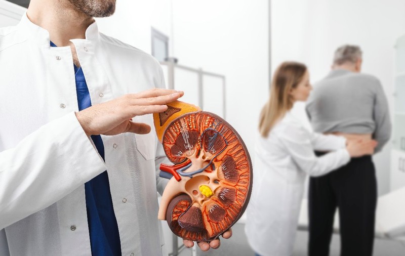 Un rinichi artificial portabil, testat în premieră de medicii din Țările de Jos: „Vrem să oferim pacienţilor mai multă libertate” 