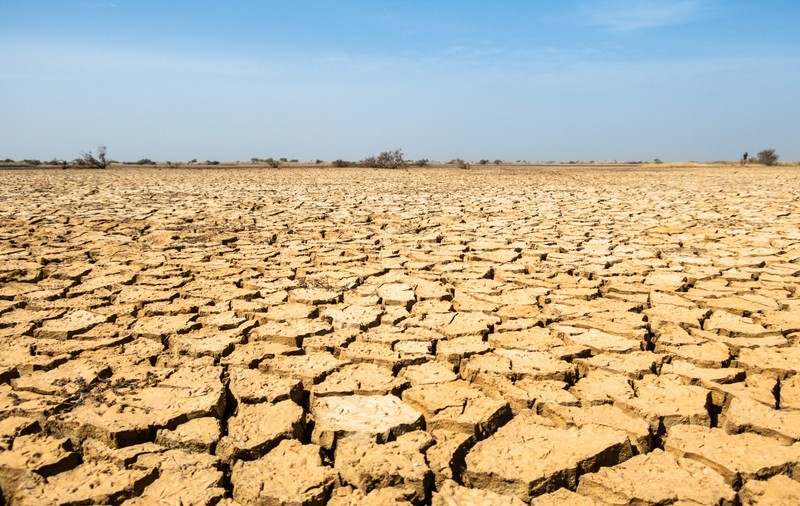 România se deșertifică. „În 20 de ani vom avea o climă similară cu cea a Greciei”, avertizează ministrul mediului