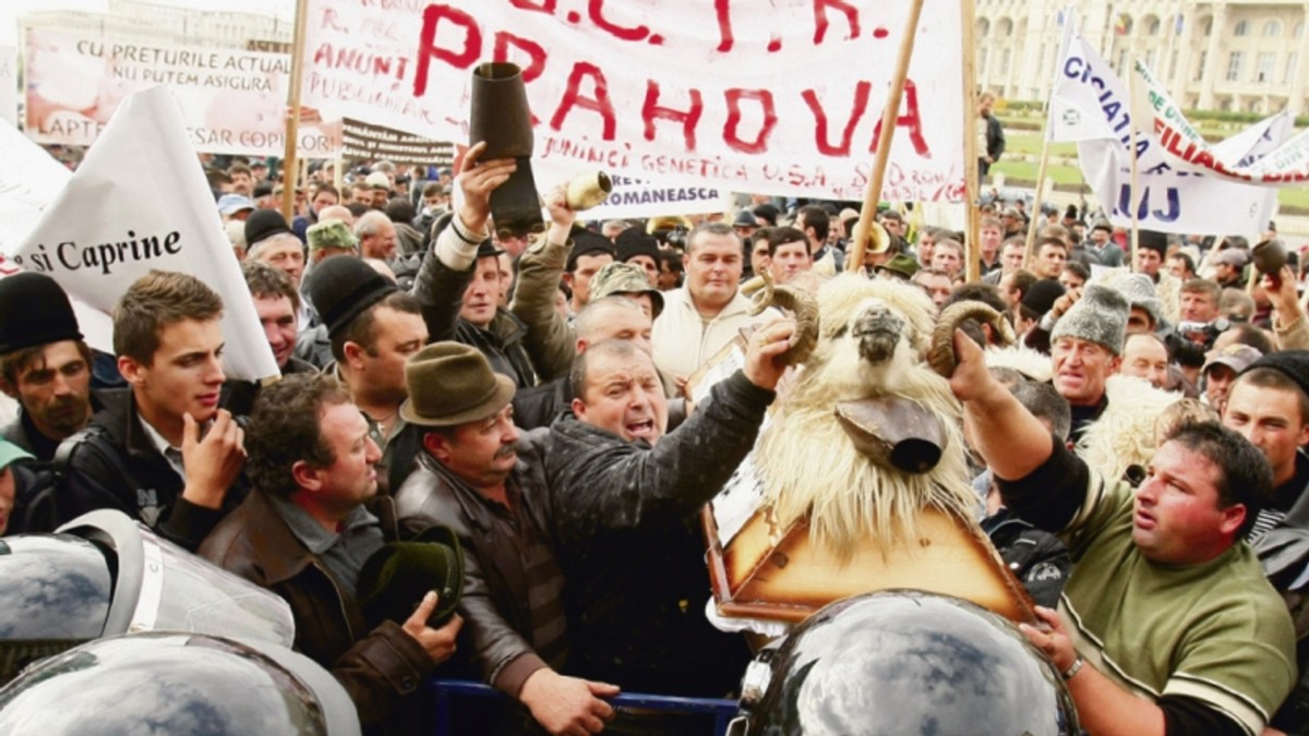 Arhiva foto