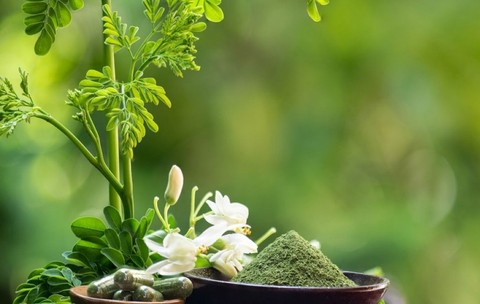 Ce este moringa - beneficii și contraindicații