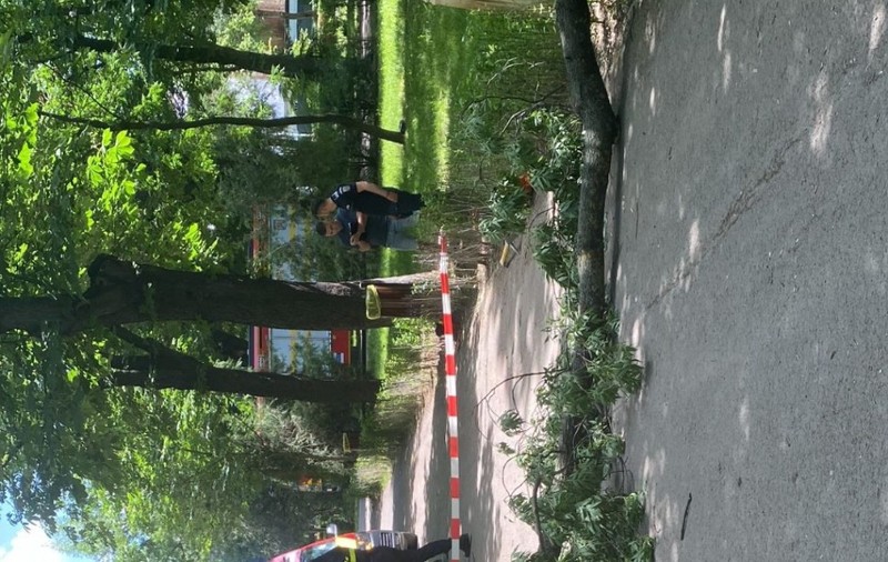 O creangă dintr-un copac din Parcul Bazilescu a căzut peste doi tineri. Spitalul Elias: Fata este în comă