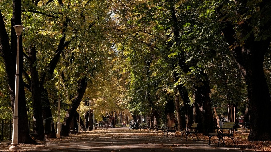 Un parc din Oradea toamna